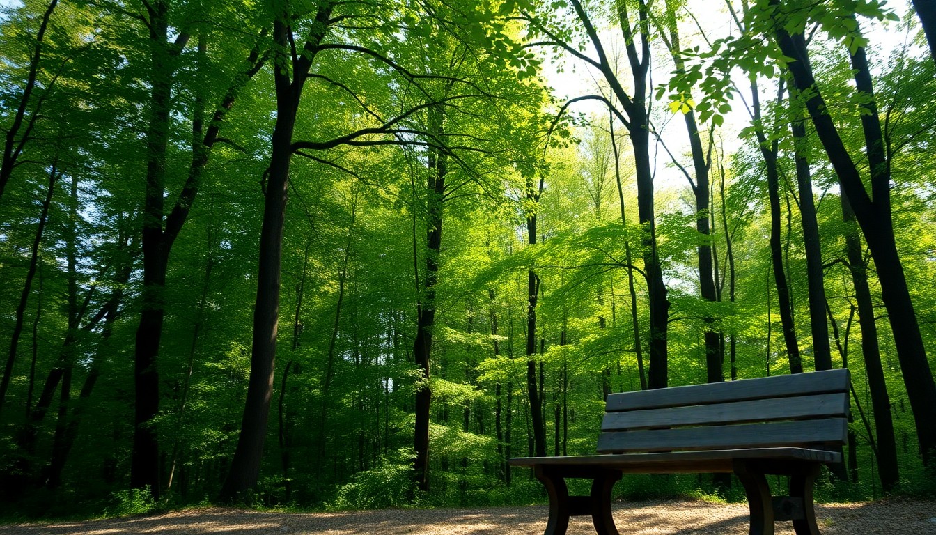 森田美由紀の病気や体調不良の噂の真相